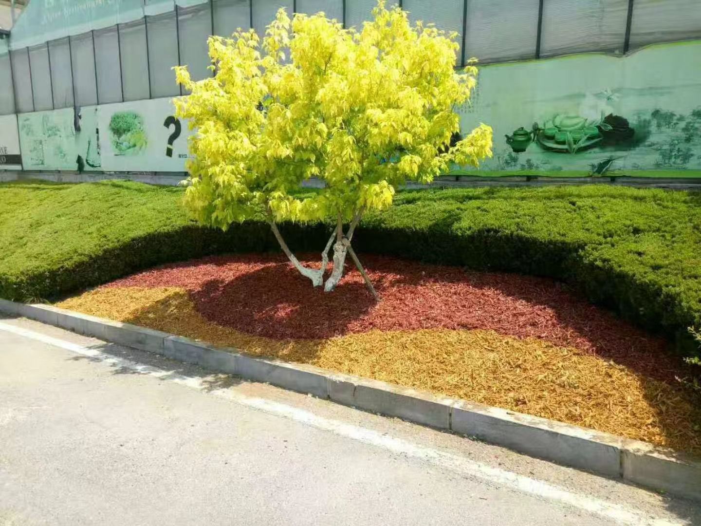 兴森农业科技